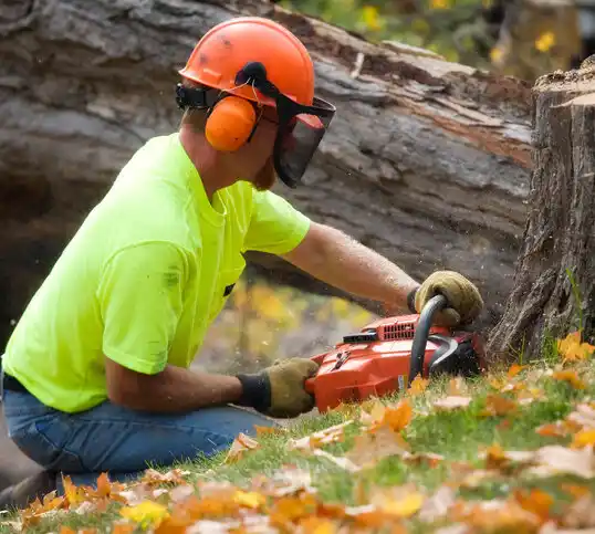 tree services Cheneyville